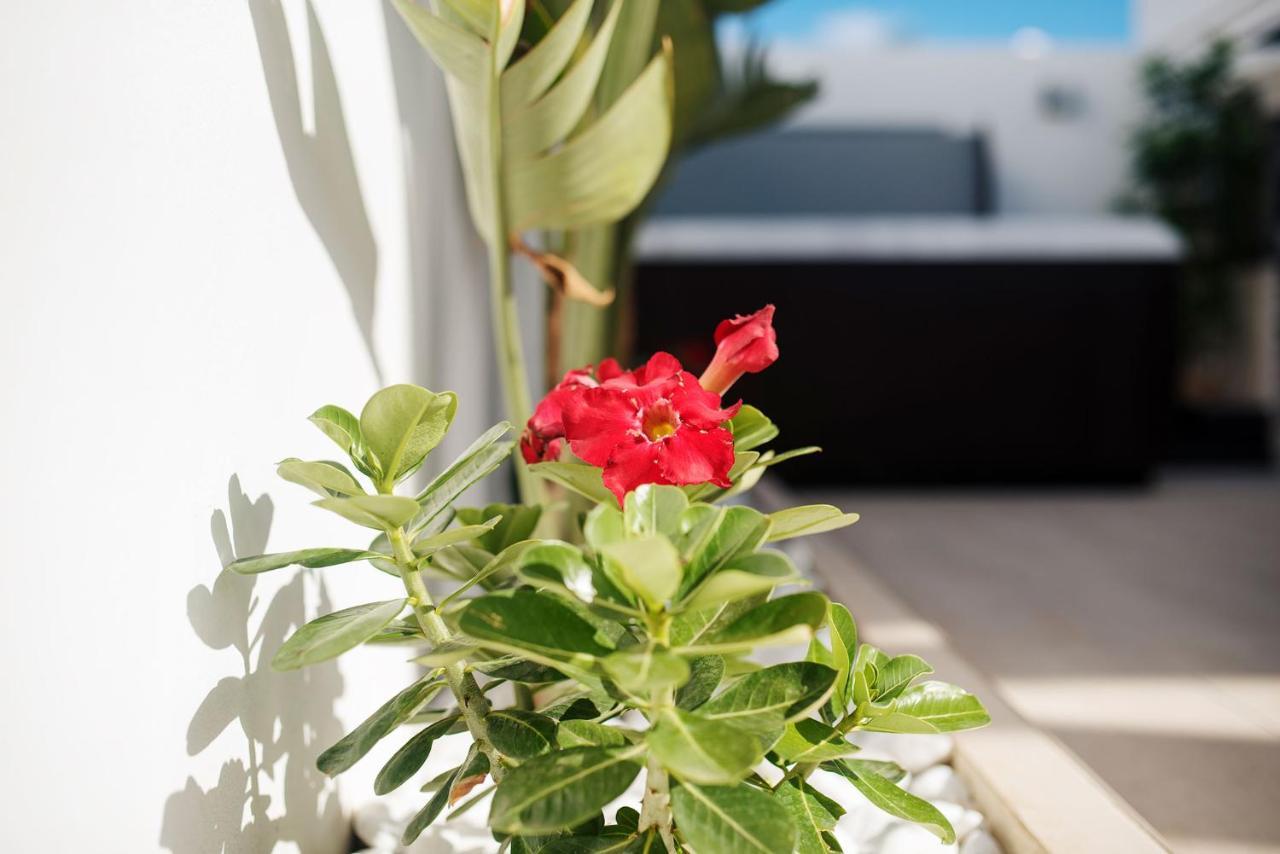 יאיזה Villa Palmera Jacuzzi מראה חיצוני תמונה